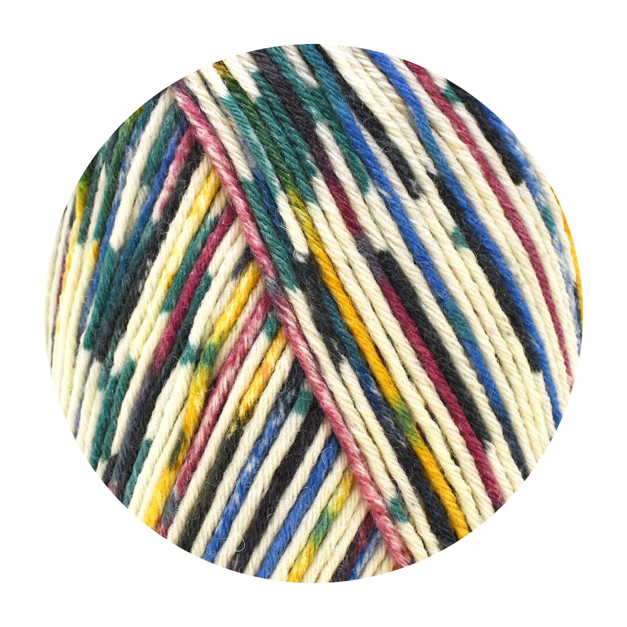 Amazon | 毛糸 ソックヤーン Opal オパール Wilder Winter（ワイルド